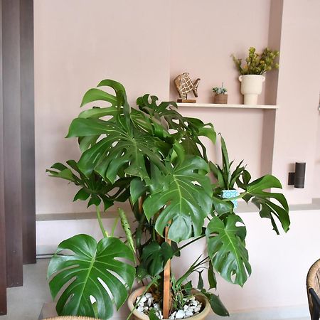 Casa Enetiko Hotell Chania  Exteriör bild